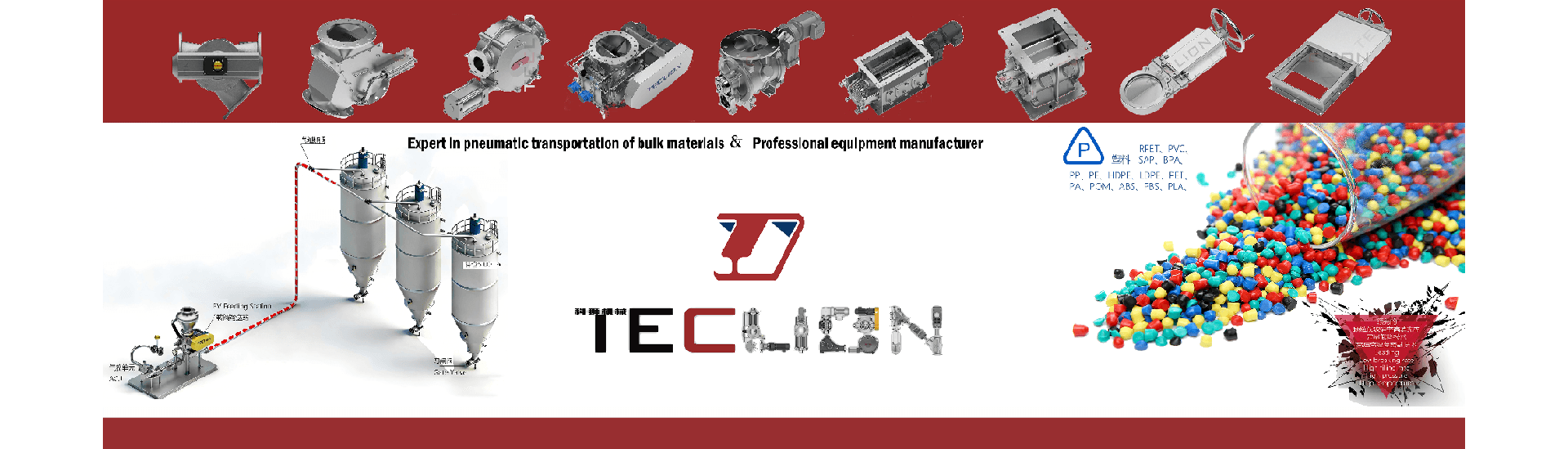 TECLION