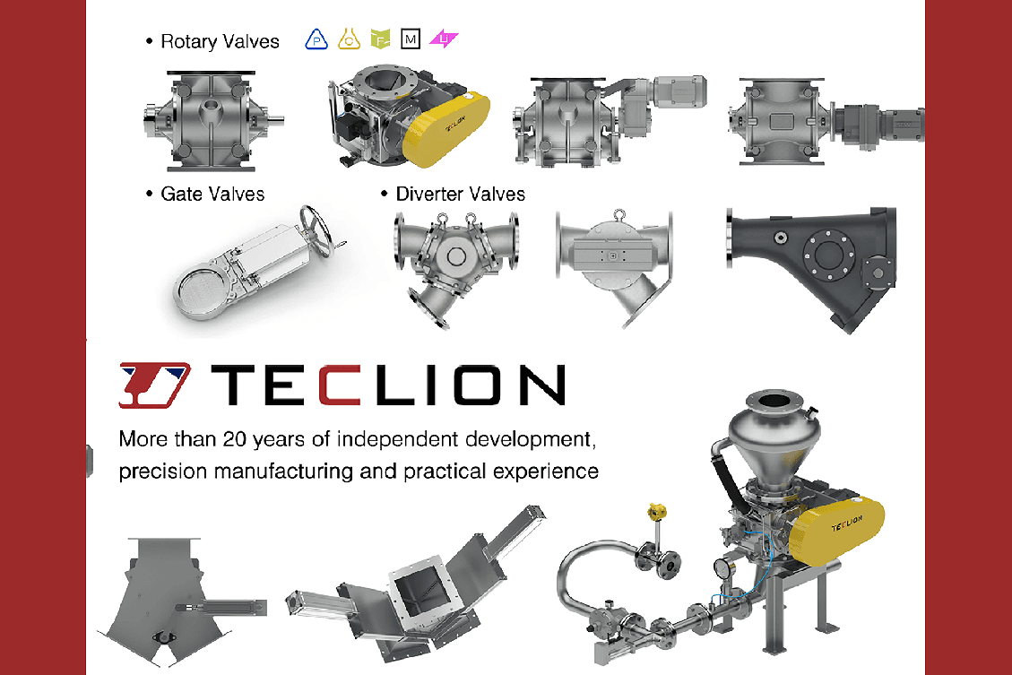 TECLION