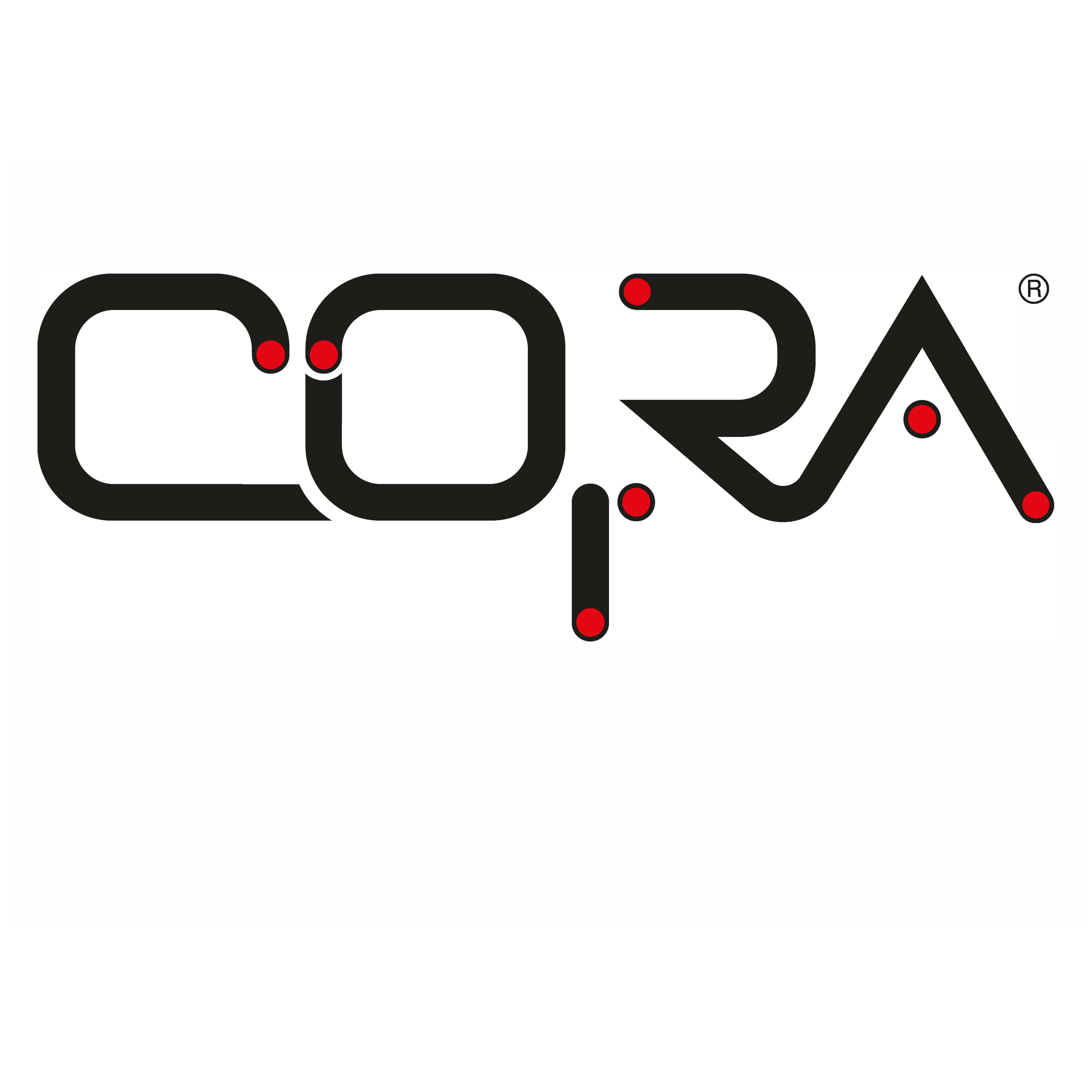 CO.RA. SRL logo