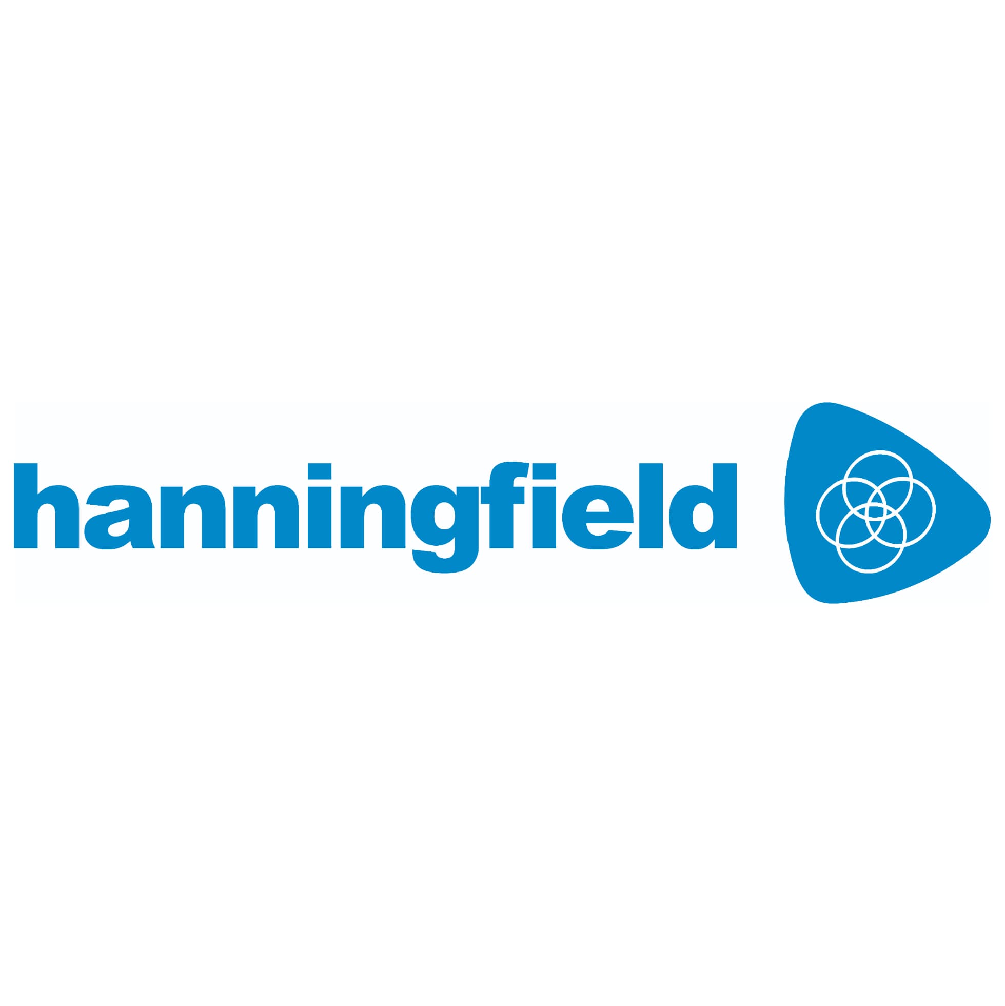 Hanningfield Process Systems Ltd. logo