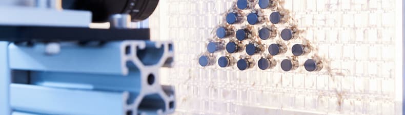 Fraunhofer IWM