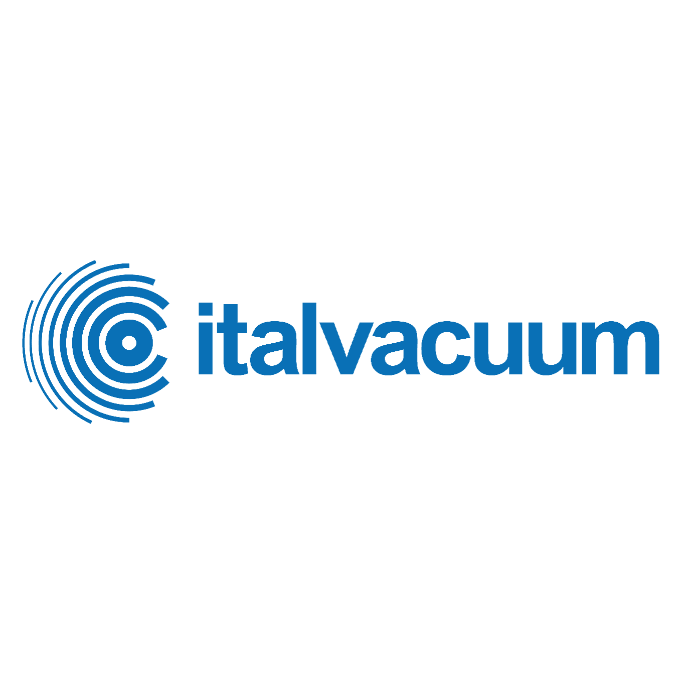 Italvacuum logo